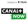 canal plus 11